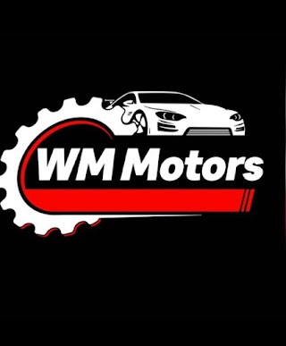 WM Motors