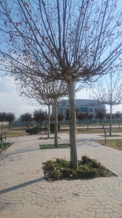 Photos of Parka semele