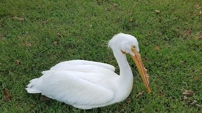 Waterfowl Exhibit