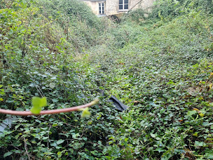 Photo n°11 de DUVAL Teddy Elagage abattage et Entretien des espaces verts Pose de grillage à Argentan (Service d'entretien de pelouse)