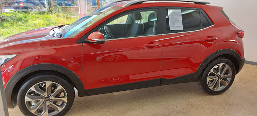 Concesionario Ford Autominesa Gallery - Spain