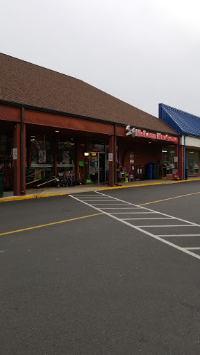 McLean Hardware - Visual