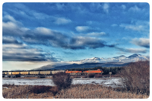 Whitefish - Visual