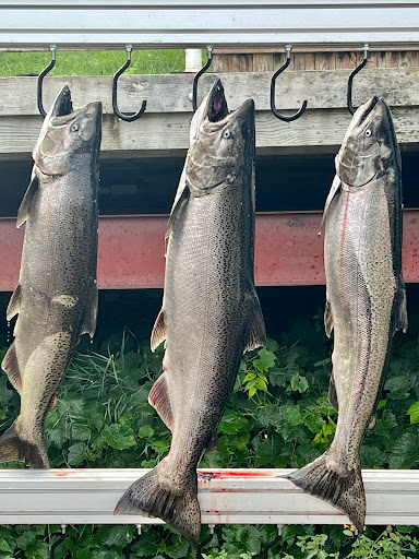 Blue Collar Charters And Guide Service llc - Thumbnail