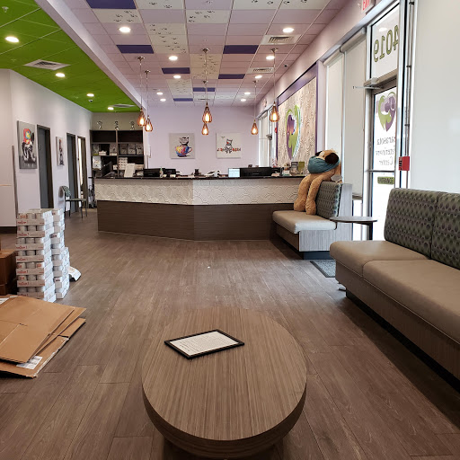 Sarasota Veterinary Center Gallery - United States