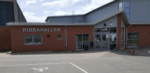 Ribbahallen - Visual