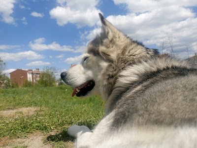 park