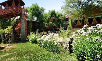 Photos of Sarı alabalık restaurant