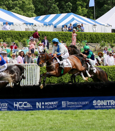 The Queen’s Cup Gallery - United States