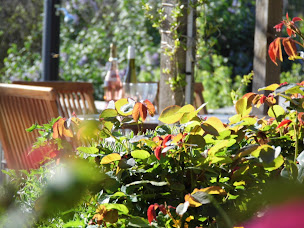Photo n°22 de Villa Toto à Hounoux (Appartement de vacances)