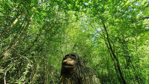 Wood Monkey - Visual