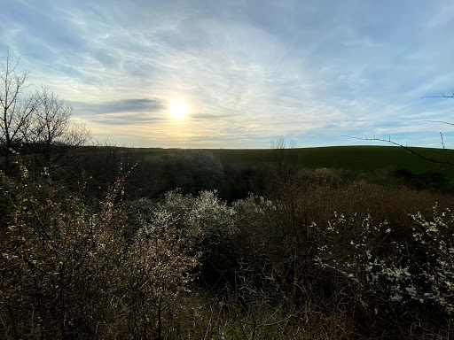 Harrington Nature Reserve - Thumbnail