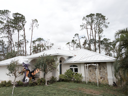 Big C Roofing - Visual