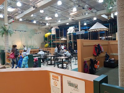 Photos of Jungle Java