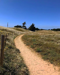 Photo n°5 de Le Petit Bois à Saint-Jean-de-Monts (Terrain de camping)