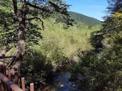 Photos of Reserva Nacional Los Ruiles