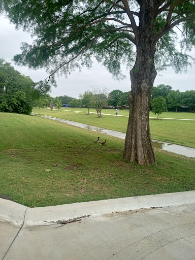 Chapman Park - Visual