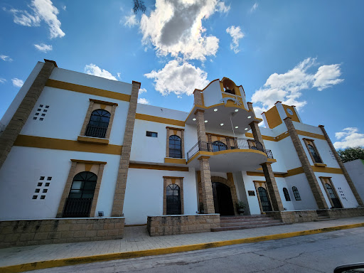 Presidencia Municipal Palmillas - Thumbnail