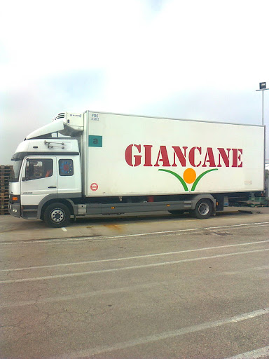 Giancane Group - Visual