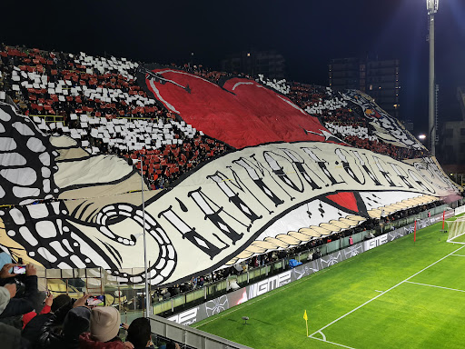 Arechi Stadium - Visual