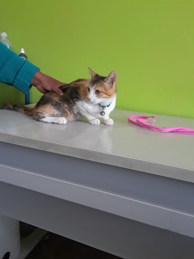 Clinica Veterinaria TODAS LAS ESPECIES GRANDES Y PEQUEÑAS