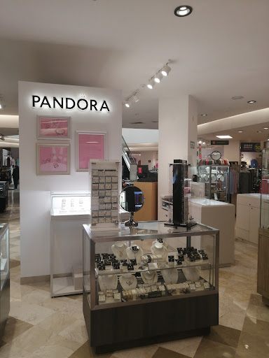 Pandora Poza Rica Logo