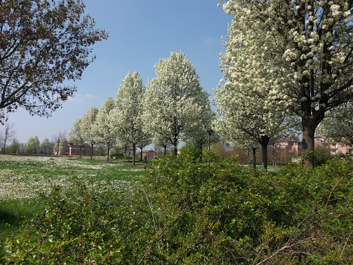 Parco Liguria - Visual
