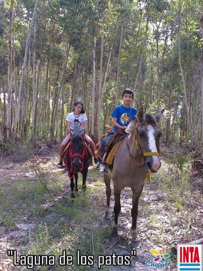 Photos of Paseos a caballo "Laguna de los Patos"