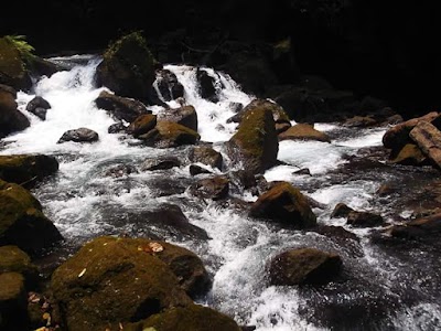 Photos of Air Terjun Lau Balis