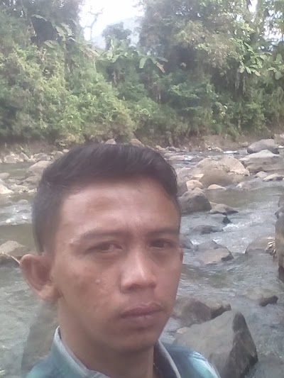 Photos of Kebun SEDA