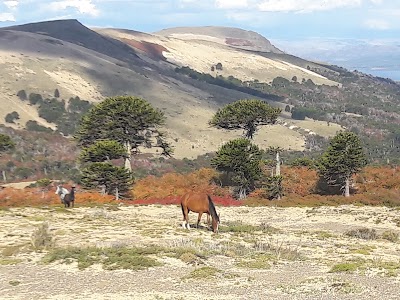 Photos of Estacionamiento Laguna Del Batea Mahuida