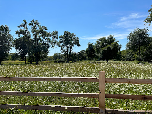 Pederson Nature Preserve - Thumbnail