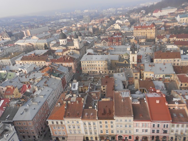 Lviv