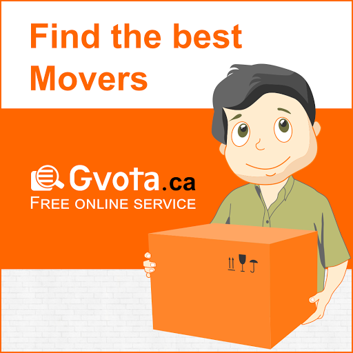 Gvota - Visual