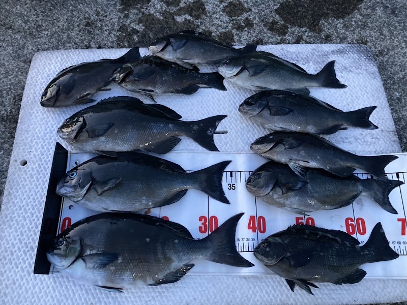 大ちゃん渡船 武丸