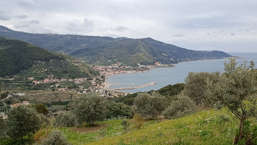 Montecorice - Visual
