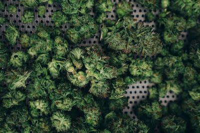 Photo of Aloha Green Apothecary - Ko Olina