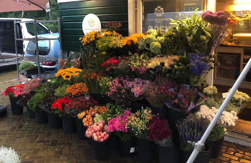 Snijder Bloemen Archipel - Thumbnail