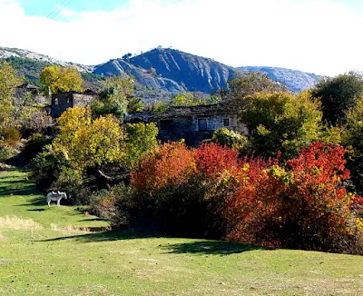 Malëshovë