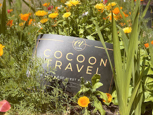 Photo n°6 de COCOON TRAVEL VTC REIMS à Reims (Service de transport)