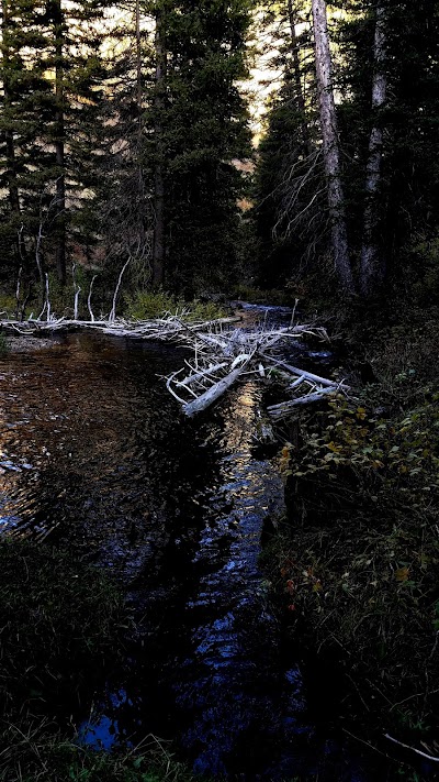 North Fork Overflow Campground