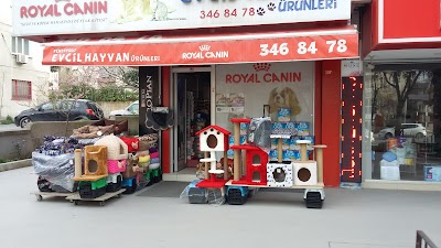 pet-store