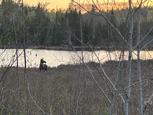 Swamper Lake Wayside Rest - Thumbnail