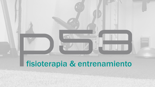 p53 fisioterapia&entrenamiento - Thumbnail