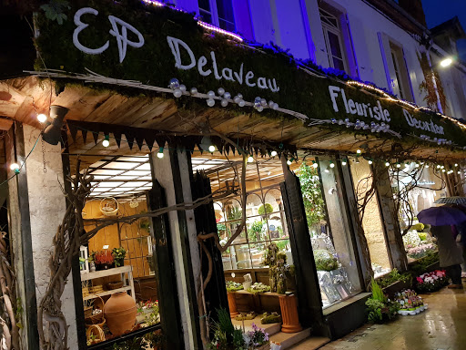 Delaveau Eric-pierre Logo