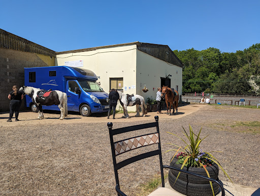Nutkins Tea Room - Thumbnail