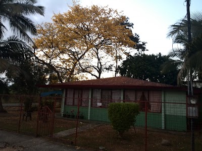 school