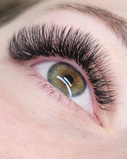 Lash Suite - Visual