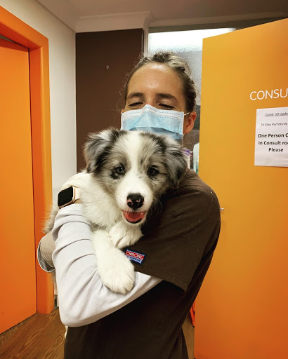 Dr Kathys Mobile Pet Care - Thumbnail