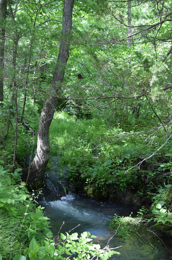 Troublesome Hollow Primitive Campsites - Thumbnail